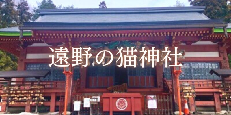 遠野郷八幡宮　猫神社　パワースポット
