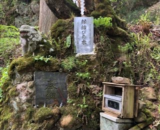 桜松神社 不動の滝 縁結びの木